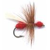 the flying red ant